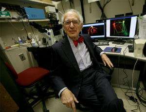 区域优化的免费ddos攻击网页端